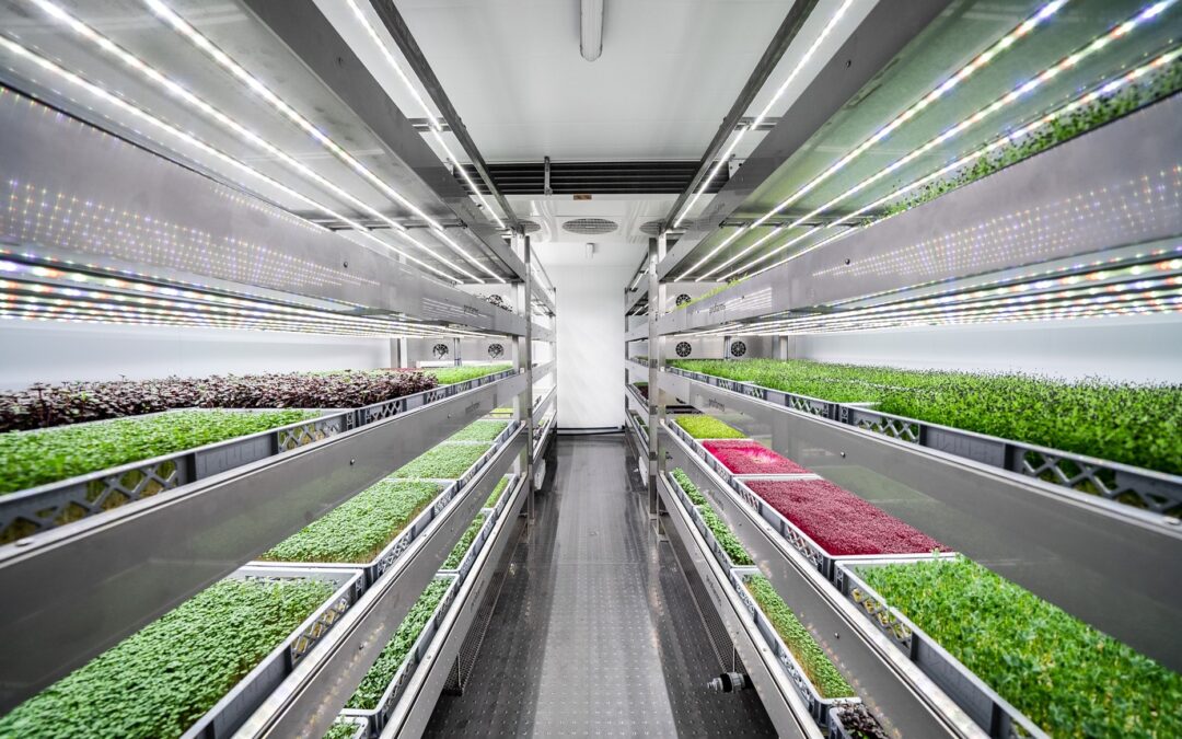 Vertical Farming Sparks New Hope for Downtown Offices